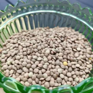 Vihreät linssit 1kg