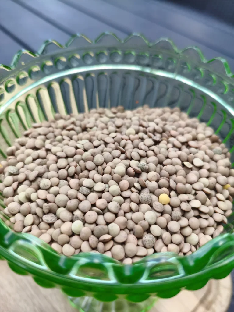 Vihreät linssit 1kg